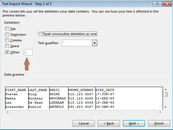 excel text import wizard multiple other